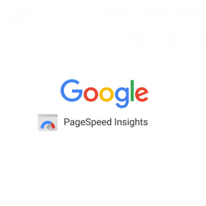 logo google page speed insight