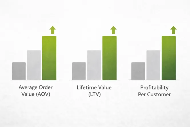 métricas claves para cross selling AOV LTV